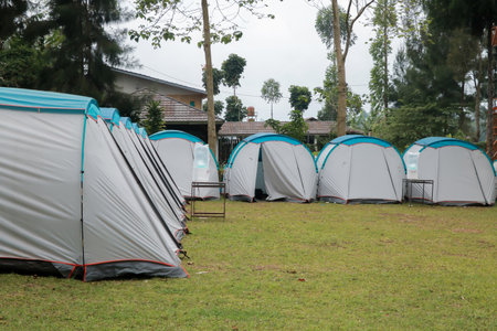 Camping and tent in the riverside. Panoramic landscape. Natural area with trees and green grass. Camping tent. Camping areaの写真素材