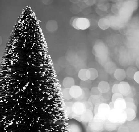 christmas tree on bokeh background black and white color toneの写真素材