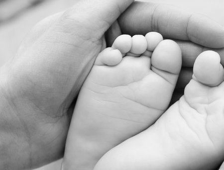 Newborn baby feet in father's hands. Black and white photo.の写真素材