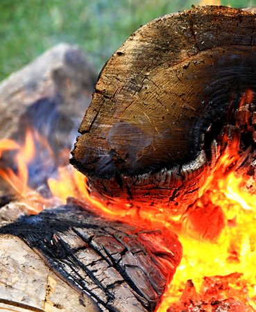firewood burning in a campfire close-up on a sunny dayの写真素材