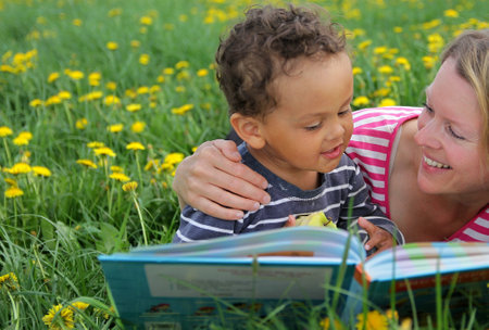 Mother and son reading book in the meadow with dandelionsの写真素材
