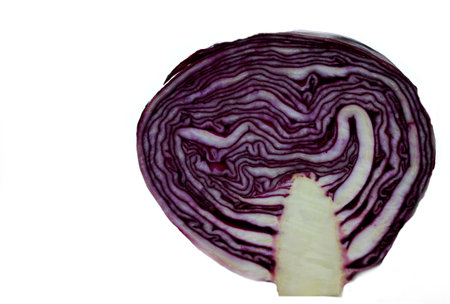 Purple cabbage isolated on a white background. Vegetarian food.の写真素材