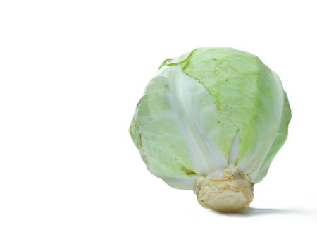 Green cabbage isolated on white background with copy space for text or image.の写真素材