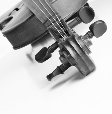 violin on white background, closeup of photo, black and whiteの写真素材