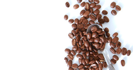 Coffee beans on white background with copyspace for textの写真素材