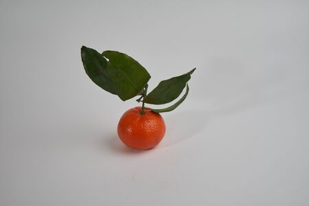 Mandarin, autumn fruit.の写真素材