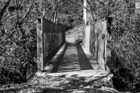 Wooden bridge, shadow and light.の写真素材