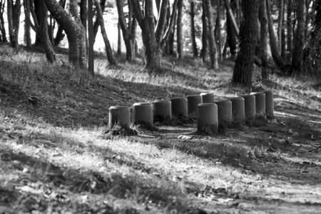 Relaxation and leisure, sports trail in the park.の写真素材