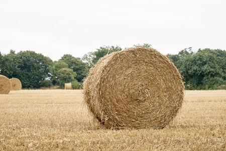 Stack of straw in a field.の写真素材