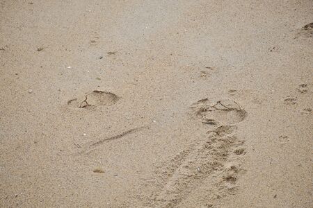 Footprints on the sand.の写真素材