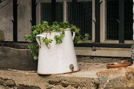 old enameled tin pot.の写真素材