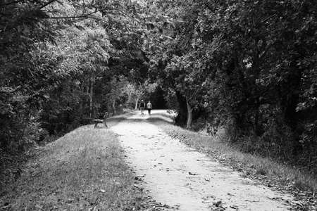 Couple walk on the paths.の写真素材