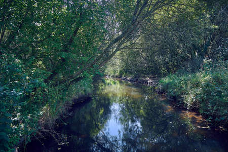 Sun reflecting on the river.の写真素材