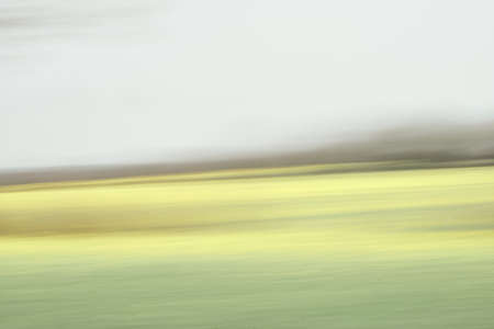 Abstract green and yellow background.の写真素材