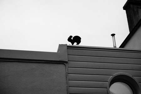 Rooster weather vane.の写真素材
