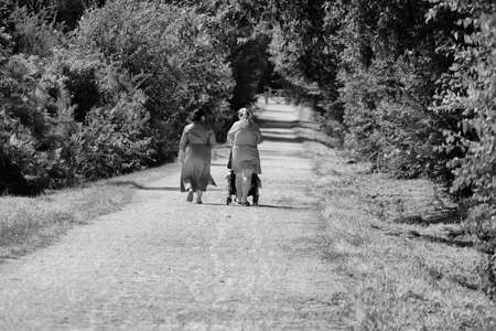 Mothers walking their children.の写真素材