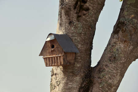 Birdhouse.の写真素材