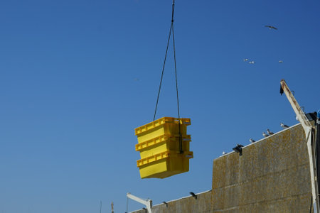 Lifting work.の写真素材