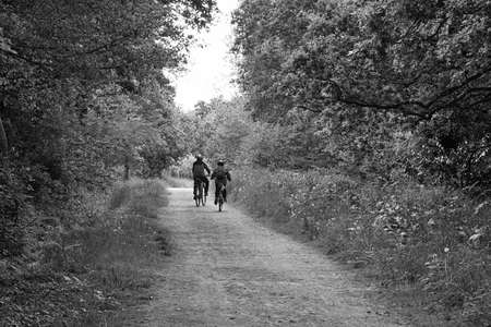 Couple of cyclists.の写真素材