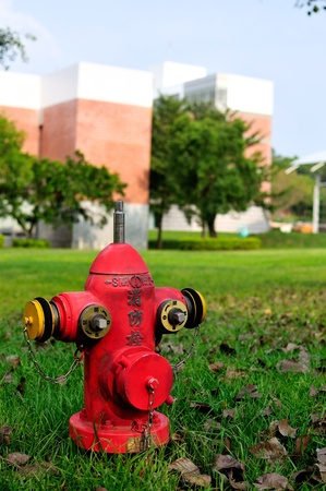 Red fire hydrant on grassの写真素材