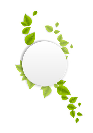 Realistic Leaves Background with  Spaceのイラスト素材