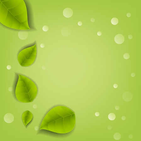 Realistic Leaves Background with  Spaceのイラスト素材