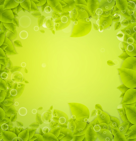 Realistic Leaves Background with  Spaceのイラスト素材