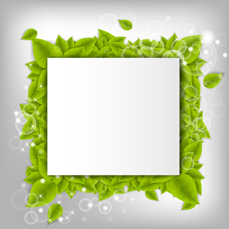 Realistic Leaves Background with  Spaceのイラスト素材