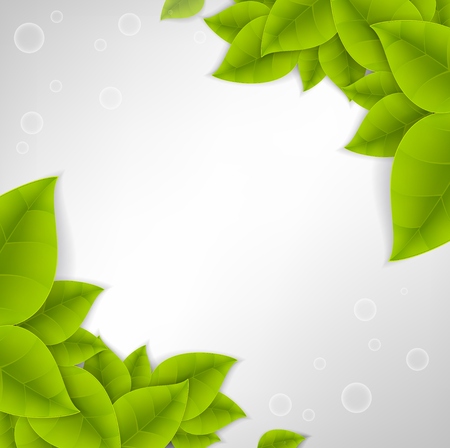 Realistic Leaves Background with  Spaceのイラスト素材
