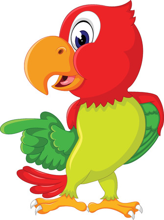 Cartoon cute parrot  of illustrationのイラスト素材
