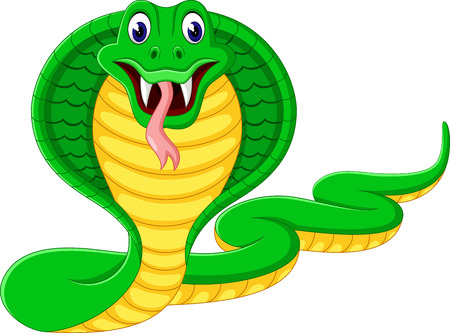 Angry cobra cartoonの写真素材