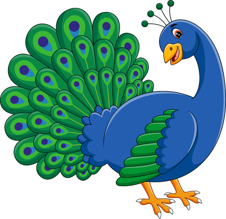 illustration of Cute peacock cartoonのイラスト素材