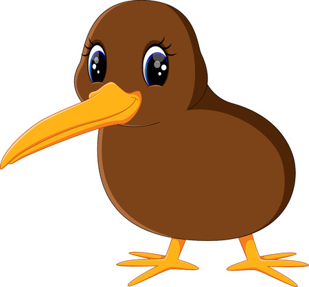 Illustration of a close up kiwi birdのイラスト素材