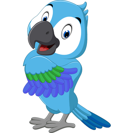 Cartoon macawのイラスト素材