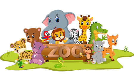 collection of zoo animalsのイラスト素材
