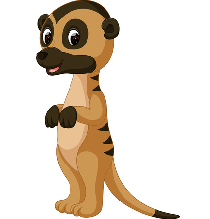 Cute meerkat cartoonのイラスト素材