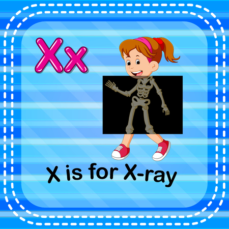 Flashcard letter X is for x-rayのイラスト素材