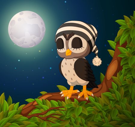 owls on the tree branch in nightのイラスト素材
