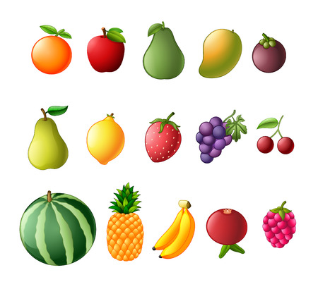 Set collection of fresh fruitのイラスト素材