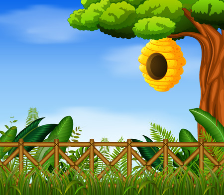 beehive in the gardenの写真素材