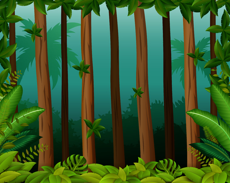 Background scene with trees in forestのイラスト素材