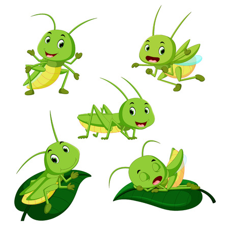 set collection grasshopper cartoonのイラスト素材