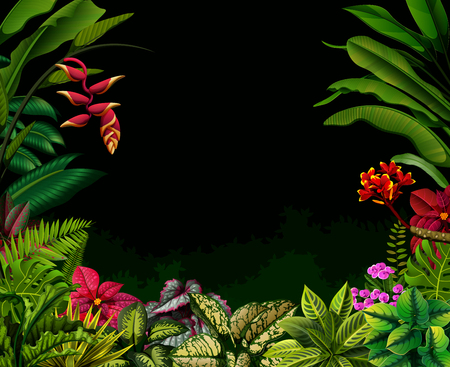 the black background with the nature accentのイラスト素材