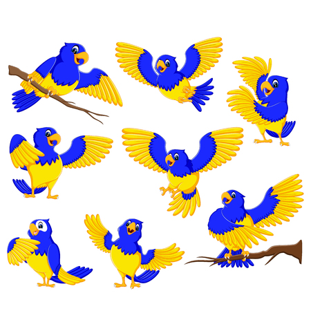 the dashing parrots with the gold accentのイラスト素材