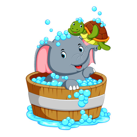 an elephant is bathing and playing with a turtle taht is very pleasantの写真素材