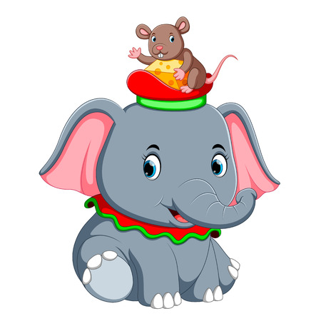 a little elephant play with a cute mouse on hatの写真素材