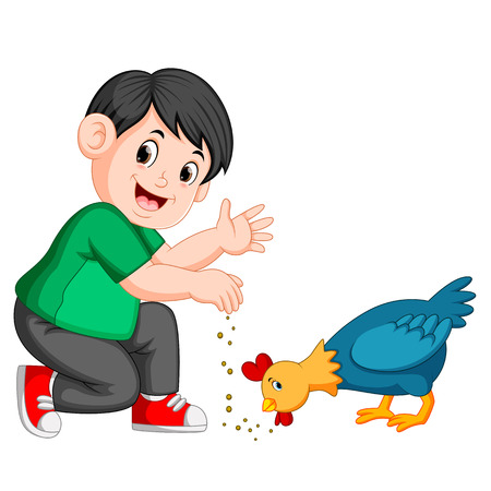boy give seed to chicken eatのイラスト素材