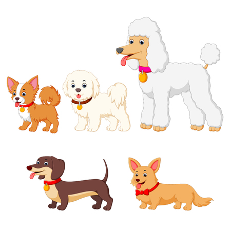 set collection of different kind of dogsの写真素材