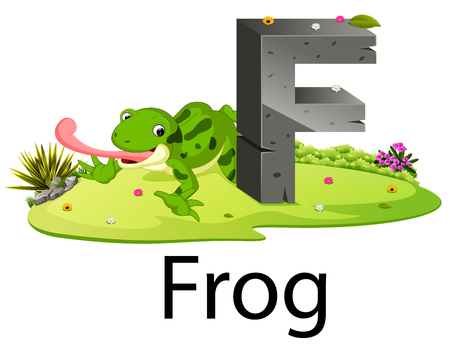 cute zoo animal alphabet F for frog with real animalのイラスト素材
