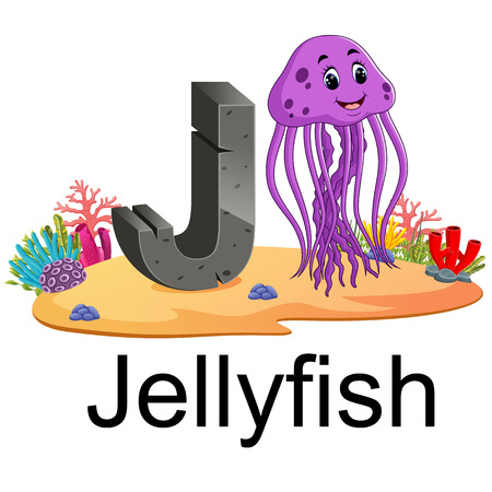 cute zoo animal alphabet J for jelly fish with real animalのイラスト素材